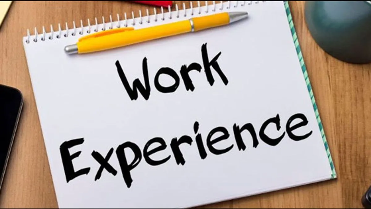 Work experience overview